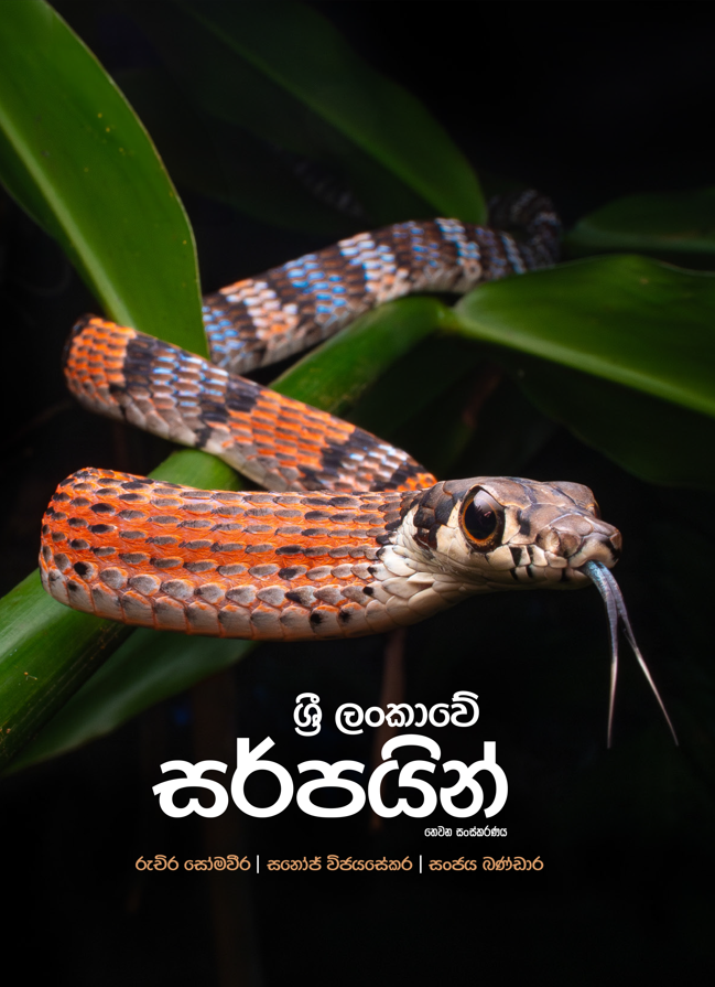 Snake of Sri Lanka - Ruchira Somaweera