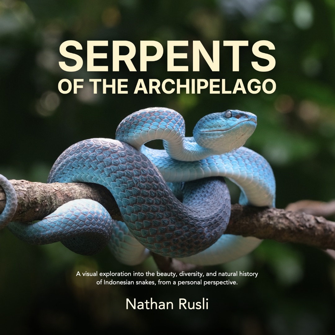 Serpents of the Archipelago - Nathan Rusli