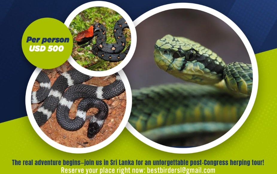 Post Congress Herping Tour in Sri Lanka 2026