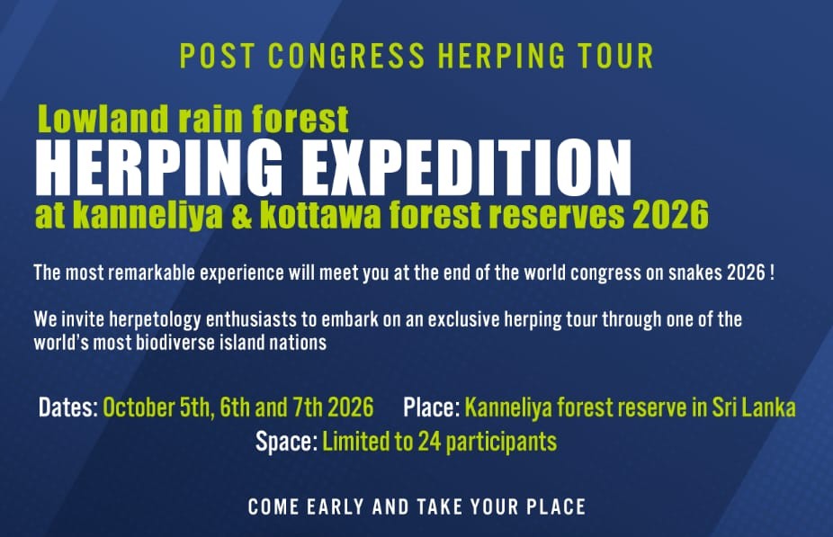 Post Congress Herping Tour in Sri Lanka 2026 thumbnail 2