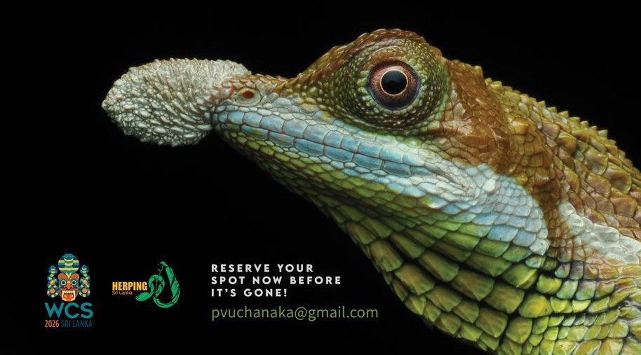 KNUCKLES HERPING EXPEDITION